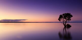 Ile pić wody wodorowej dziennie?