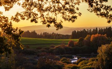 Czy można opalać się przez szybę?