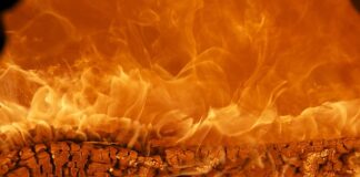 Co to za marka Isana?