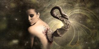 Jak wygląda implant kręgosłupa szyjnego?