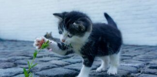 Co zrobić by mieć ładne dłonie?