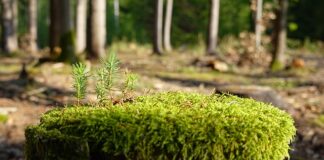 Jak zregenerować bardzo zniszczone dłonie?