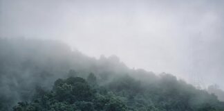 Jak pozbyć się gęstej wydzieliny z nosa?