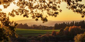 Jak przestać opalać się na czerwono?