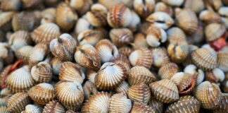 Jak wygląda łuszczyca na stopach?