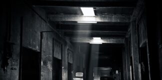 Co na zniszczone dłonie?