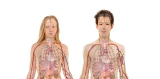 Jaka woda jest dobra na nerki?